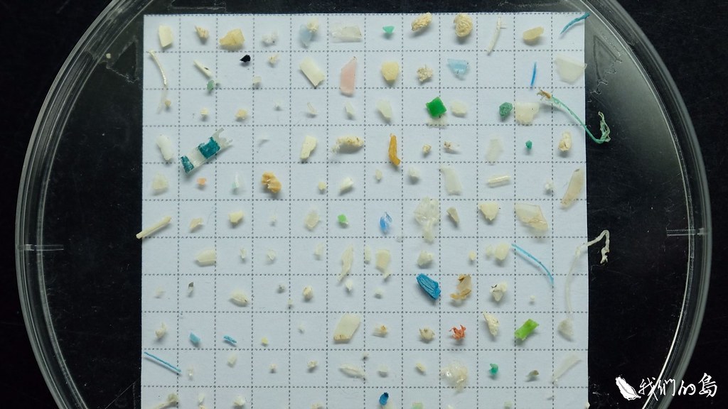 各式各樣的塑膠微粒。