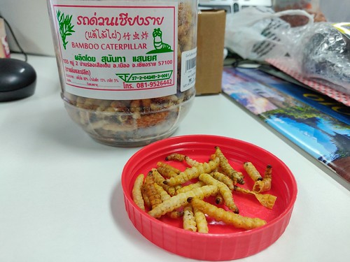 Bamboo Caterpillars from Thailand