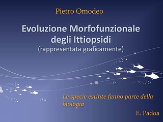 Evoluzione morfofunzionale degli Ittiopsidi
