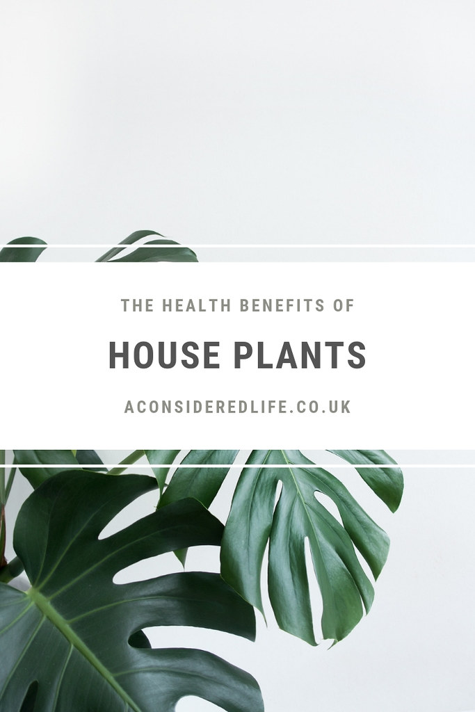 The Health Benefits Of Houseplants
