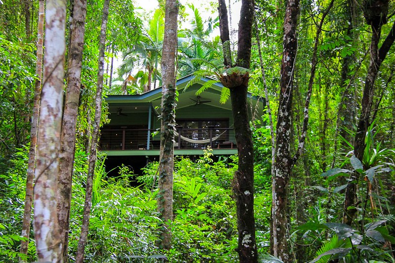The Daintree Forest offers romantic treehouse stays for honeymooners.