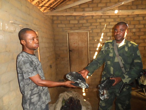 In Bafundo Asanga hands over bonobo