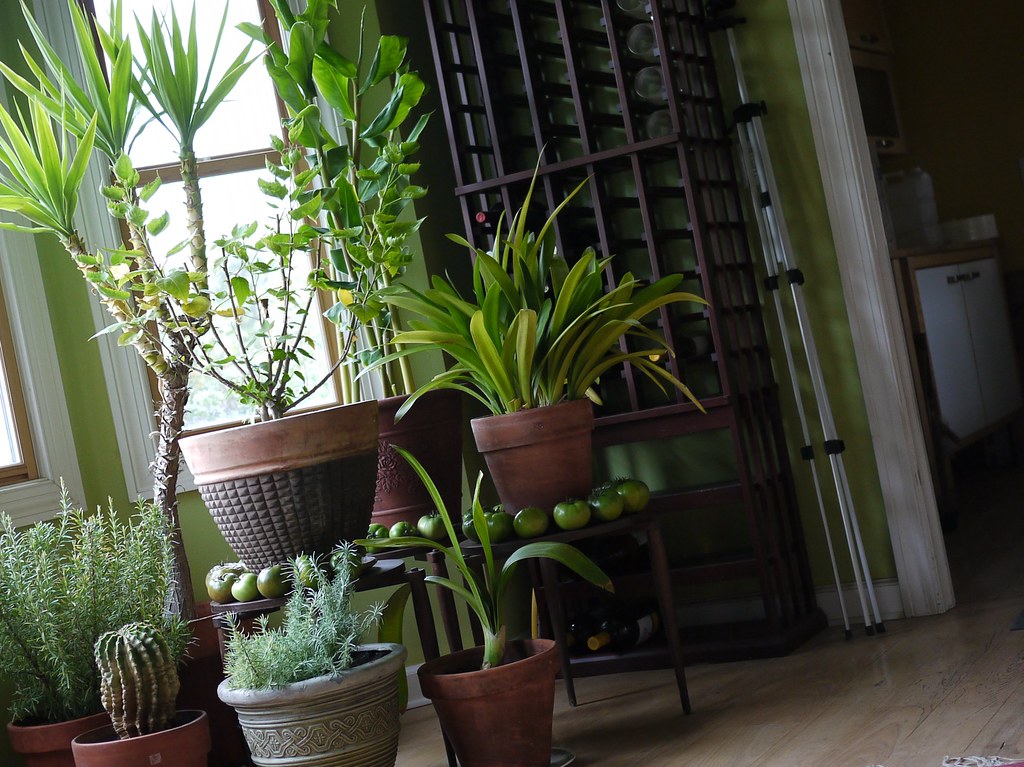 3 Ways To Improve Your Indoor Air Quality