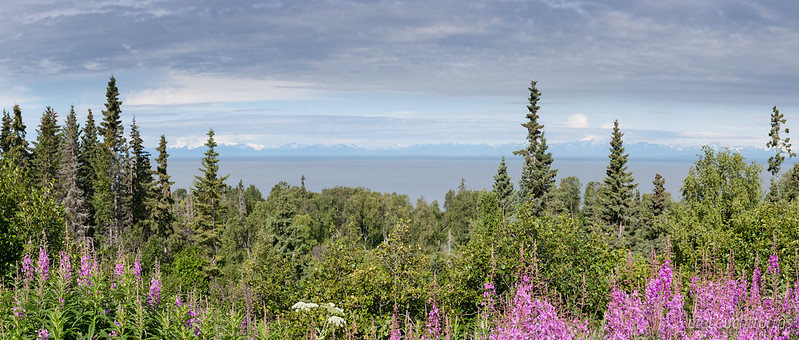 View above Cook Inlet to Chigmit Mountains in Aleutian Range