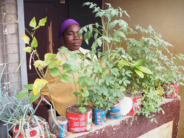 Urban Gardening Accra
