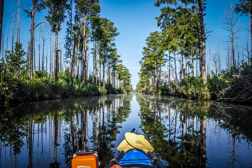 Lowcountry Unfiltered at Okefenokee-040