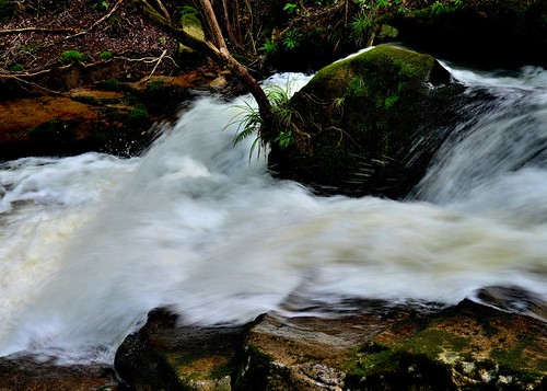 Ruri-kei (Ruri mountain stream)