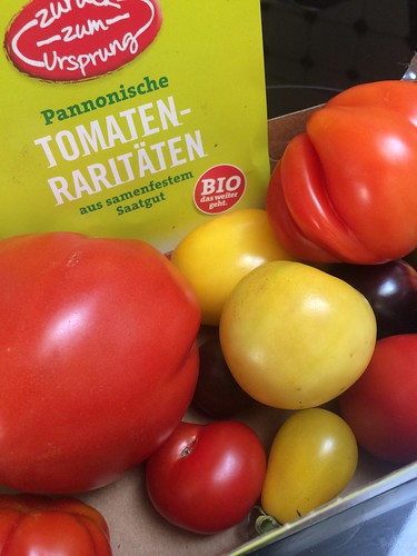 Pannonische Tomaten Raritäten