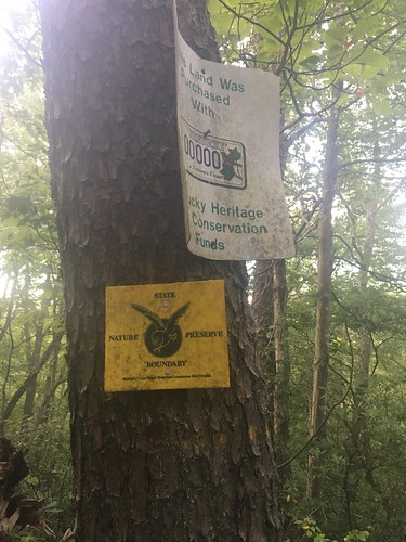 Signs in the woods