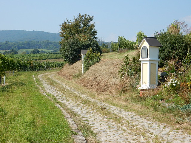 Weingartenradweg