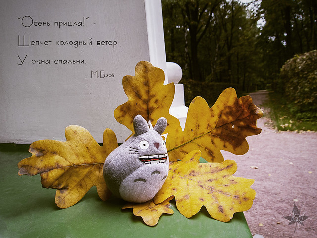 Day #262: totoro meets the Fall