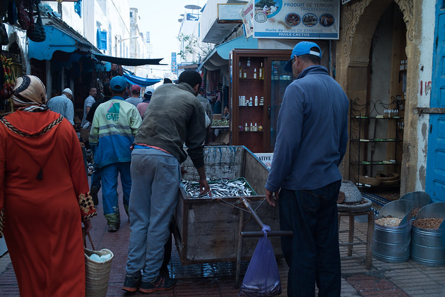 Essaouira, Morocco, Aug 2016 (35mm) -00106