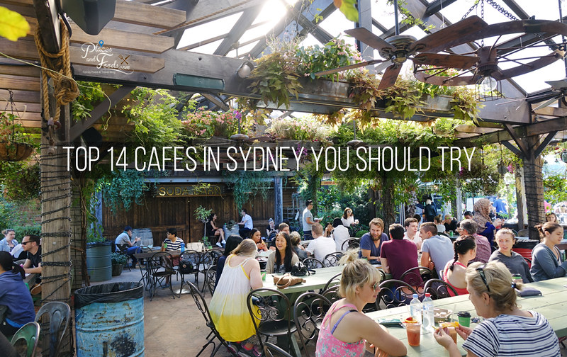 Top 14 Cafes In Sydney You Should Try