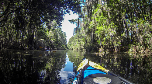 Lowcountry Unfiltered at Okefenokee-94