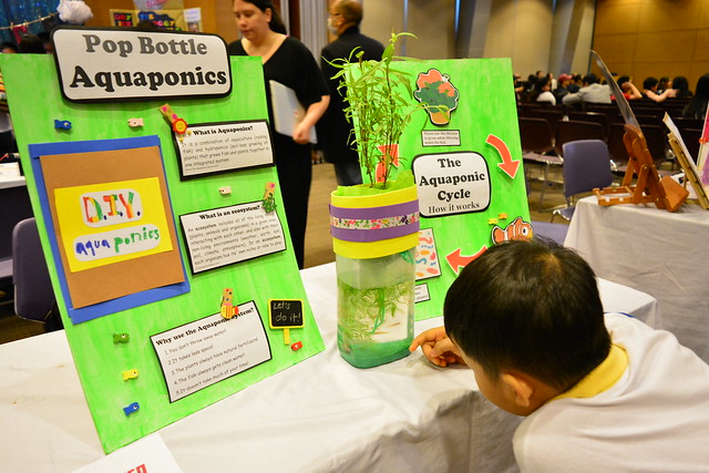 Homeschoolers Conquer Science