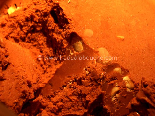 Glace au Chocolat avec ses Pépites Blanches © Ana Luthi Tous droits réservés 05