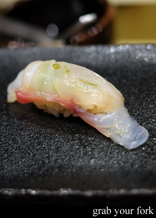 Bass grouper nigiri sushi with ponzu and yuzu kosho at Hana Ju-Rin in Crows Nest Sydney