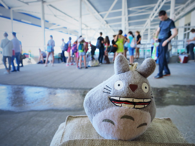 Day #195: totoro is waiting for boarding