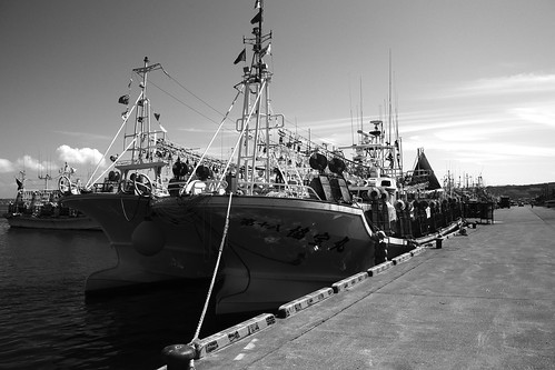 Port of Wakkanai on AUG 04, 2016 (4)