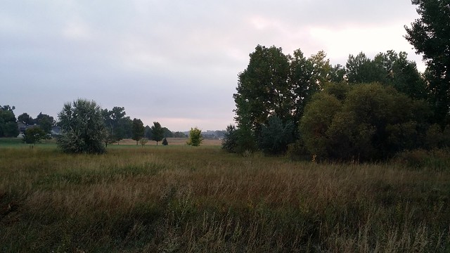 #tommw 60F mostly cloudy. Calm.