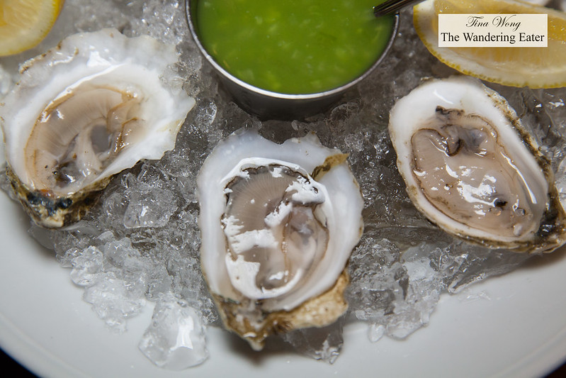 Wellfleet oysters with cucumber mint jalapeno mignonette sauce