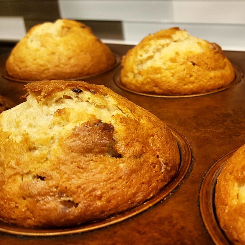 We have chocolate chunk muffins today!