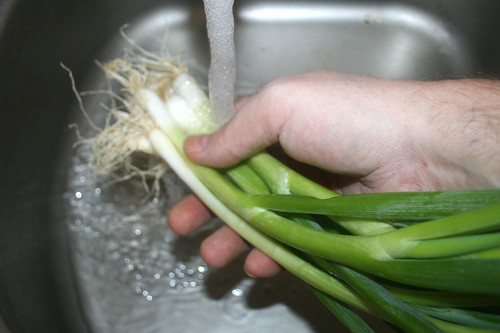 18 - Frühlingszwiebeln waschen / Wash spring onions