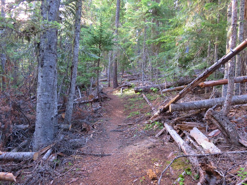 Cedar Creek Trail